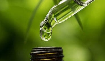 cbd oil tinctures